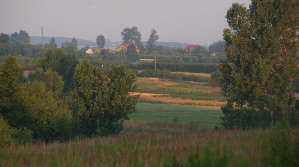 Bed and Breakfast Dwór na Wichrowym Wzgórzu Przybysławice Exterior foto