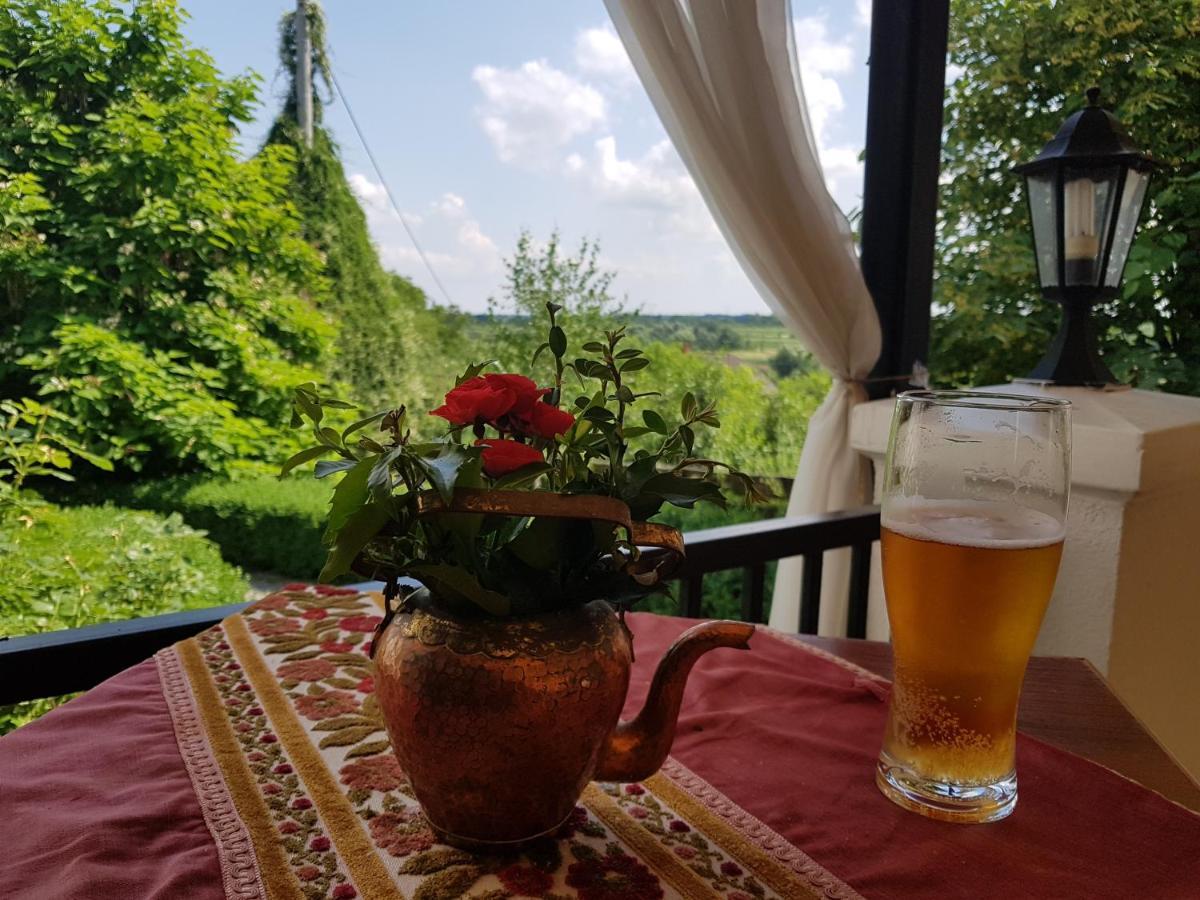 Bed and Breakfast Dwór na Wichrowym Wzgórzu Przybysławice Exterior foto